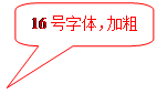 圆角矩形标注: 16号字体，加粗